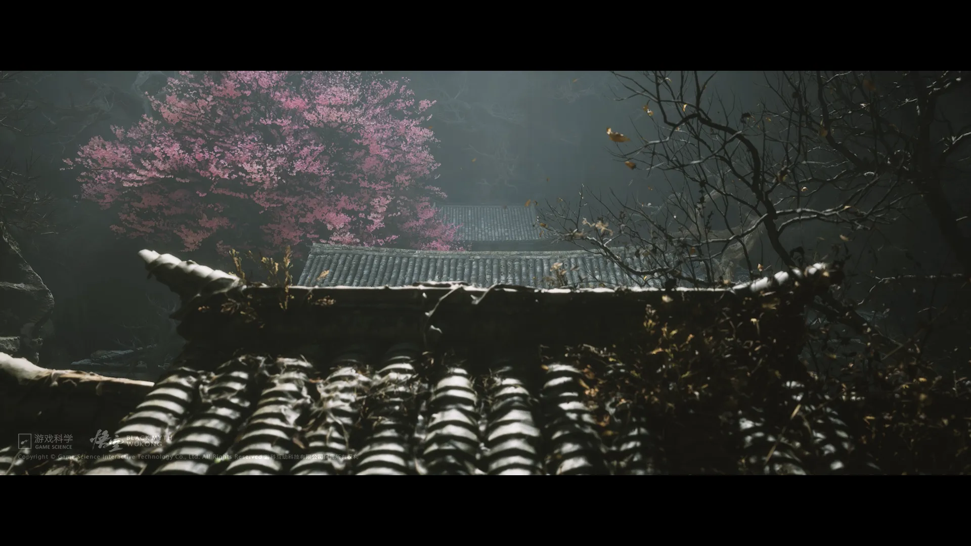 MPV-00_01_30.000-N0002